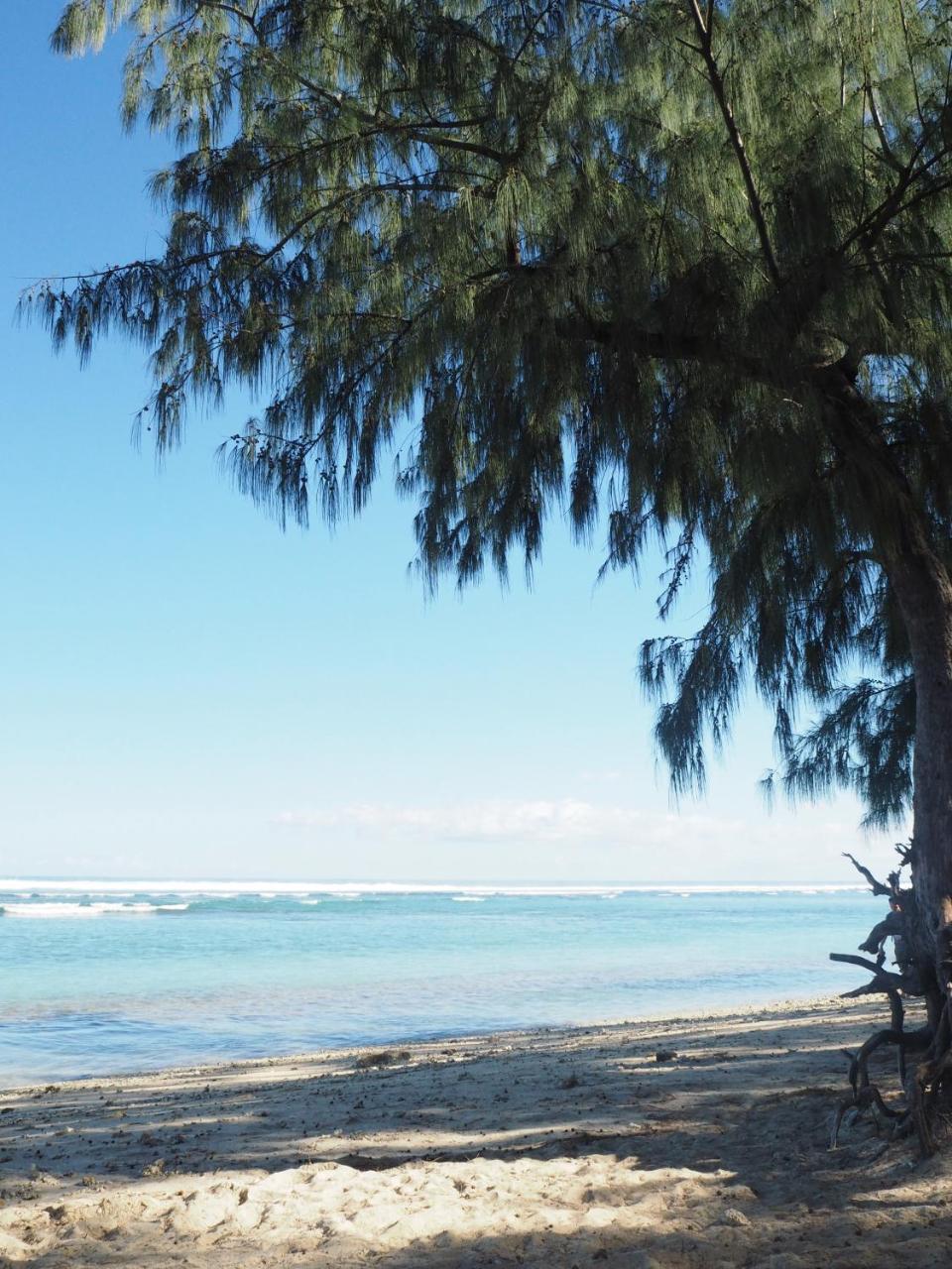Appartamento Escale Tropicale, appart vue mer à 2 min du lagon Saint-Gilles-les Bains Esterno foto